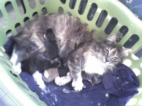 A Proud Mommy